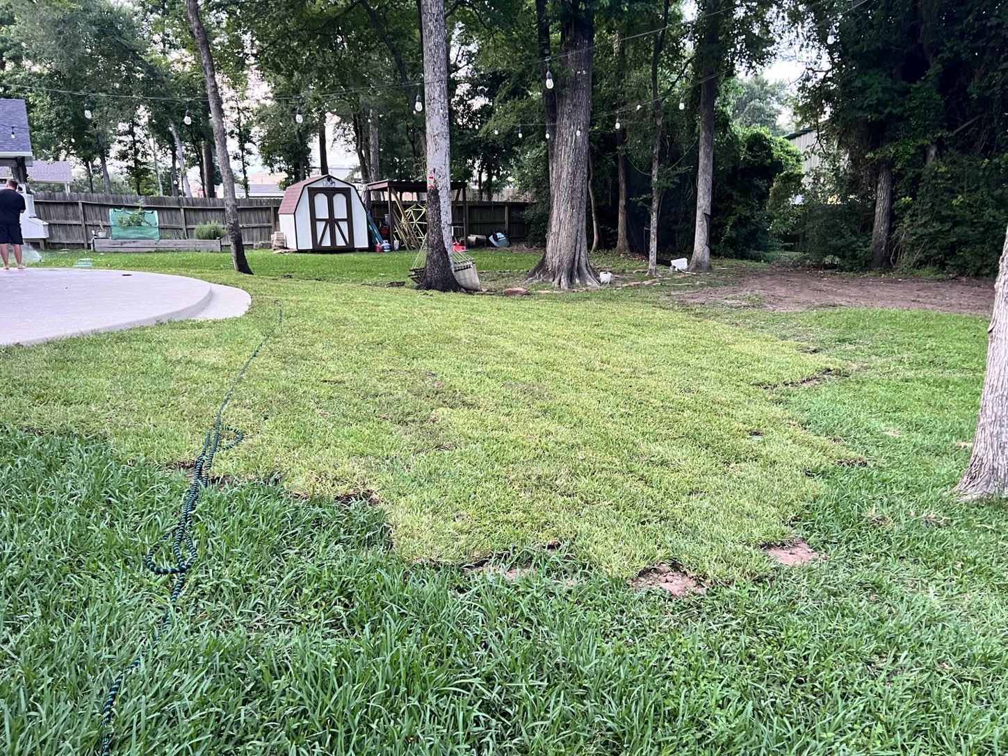 Residential lawn restoration