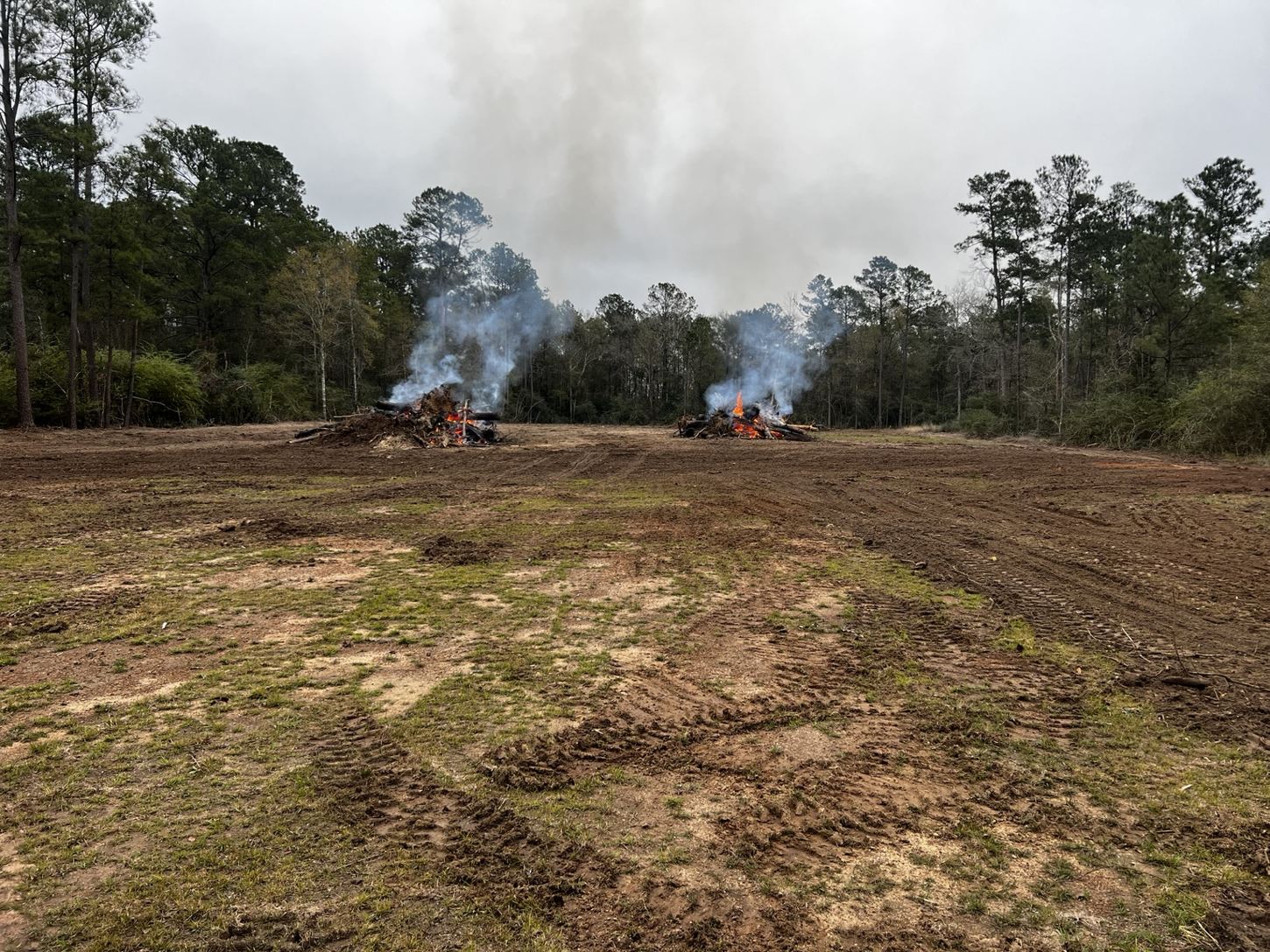 Cleared land and brush cleanup